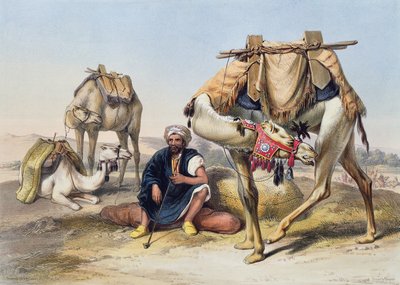 Ruhende Kamele in der Sherkiyeh, Land von Goshen, Illustration aus 